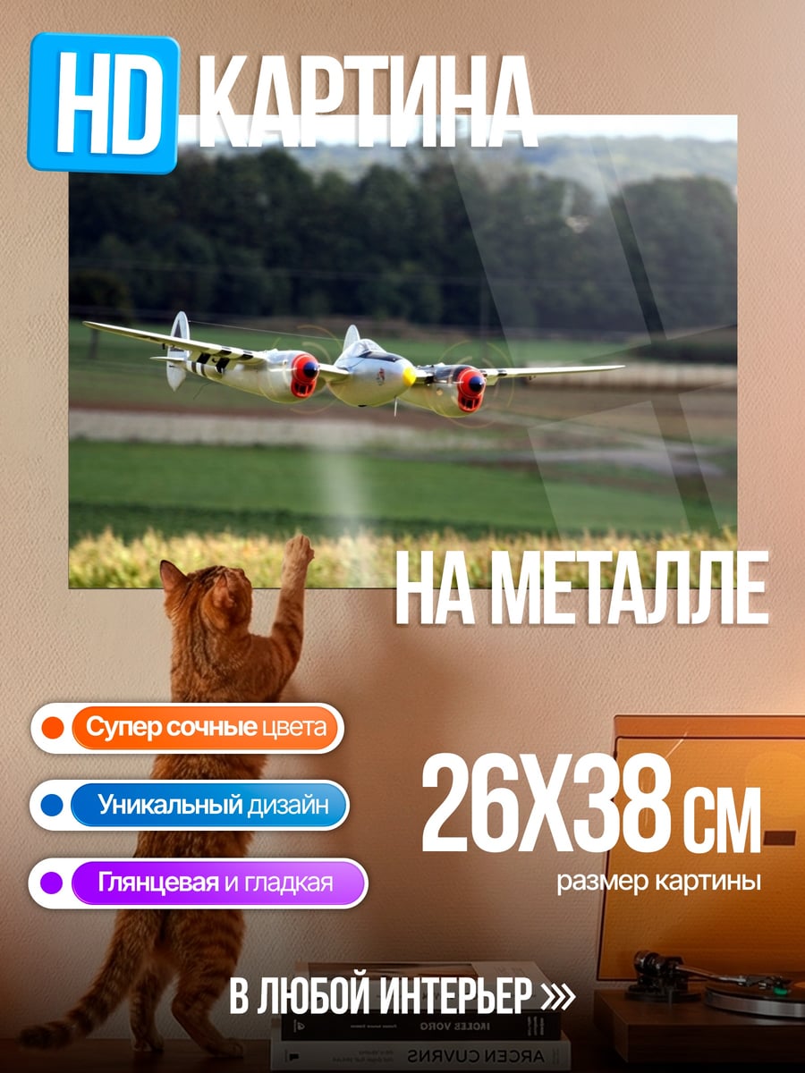Картина на металле Самолет на поле