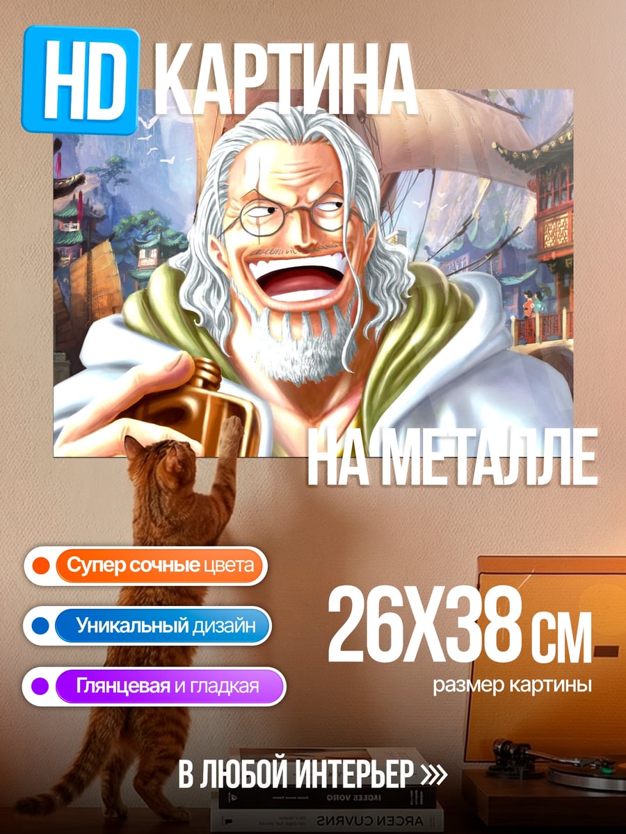 Картина на металле Рэйли из Ван Пис