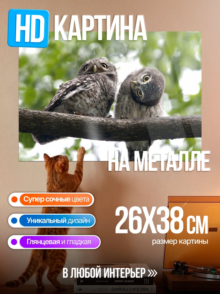Картина на металле Две совы