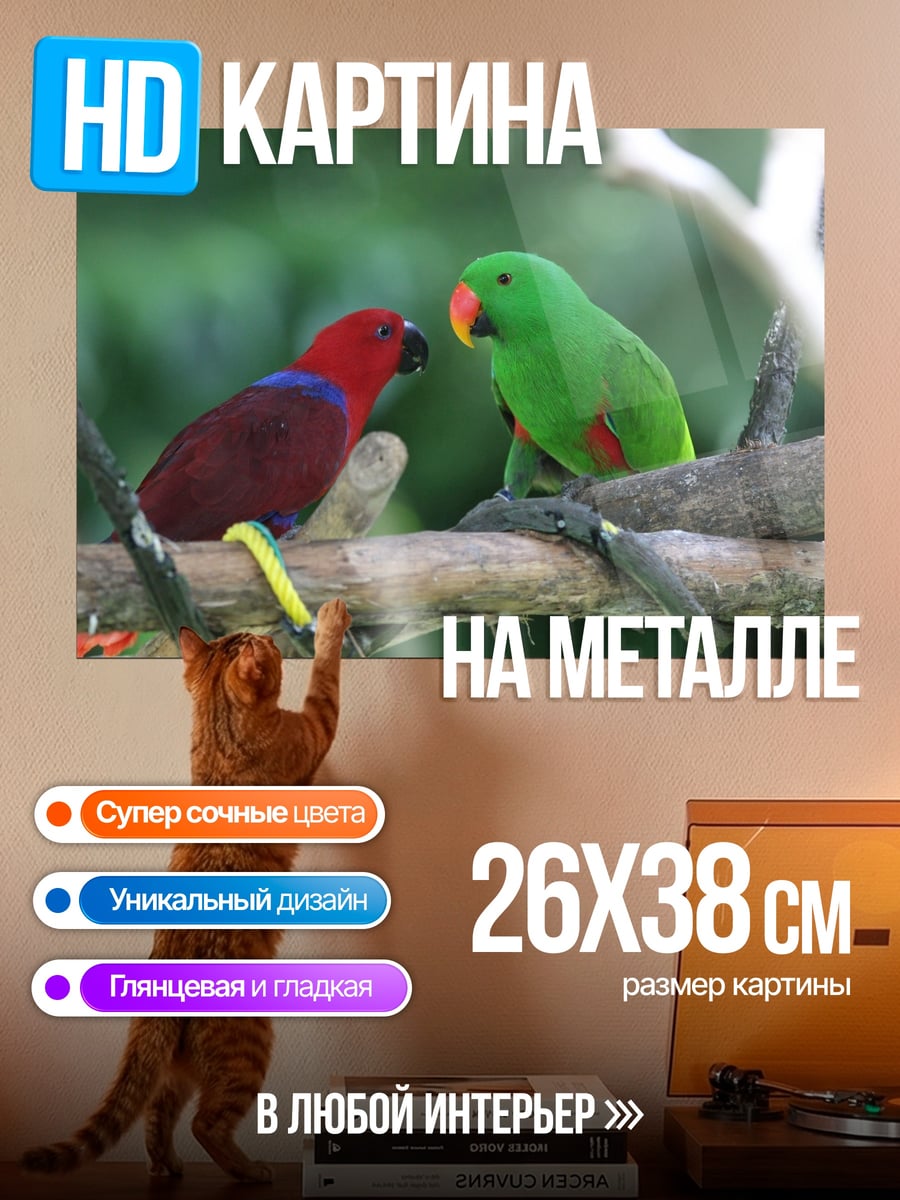 Картина на металле Две попугаи на ветке