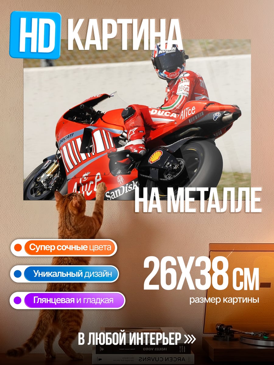 Картина на металле Гонщик на мотоцикле