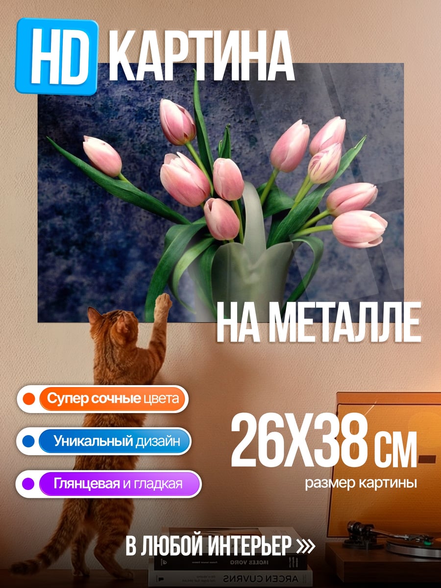 Картина на металле Нежные розовые тюльпаны