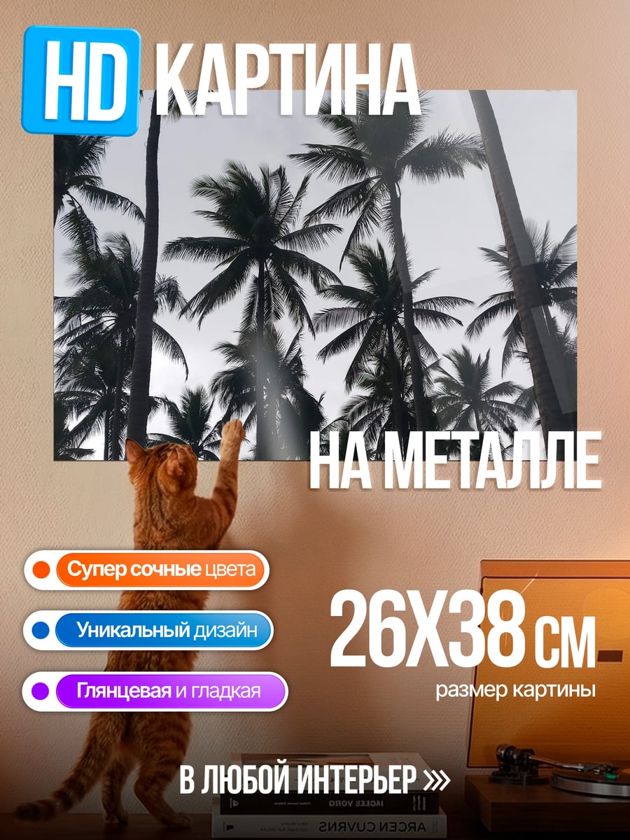 Картина на металле Пальмы на закате