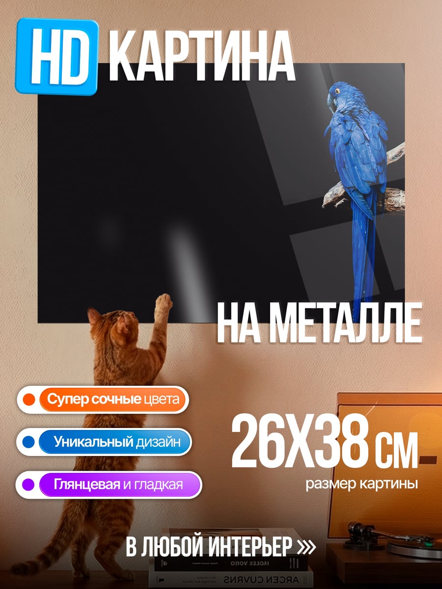 Картина на металле Синий попугай ара