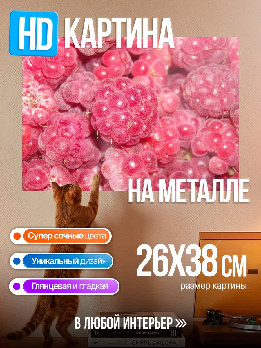 Картина на металле Спелая малина ягода
