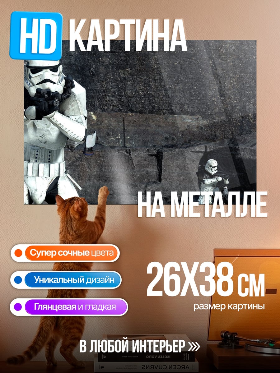Картина на металле Штурмовик Империи