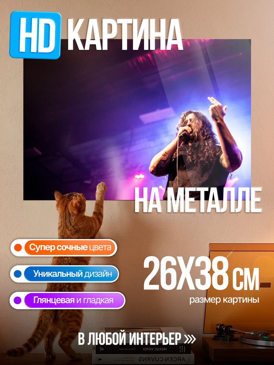 Картина на металле Рок-музыкант на сцене