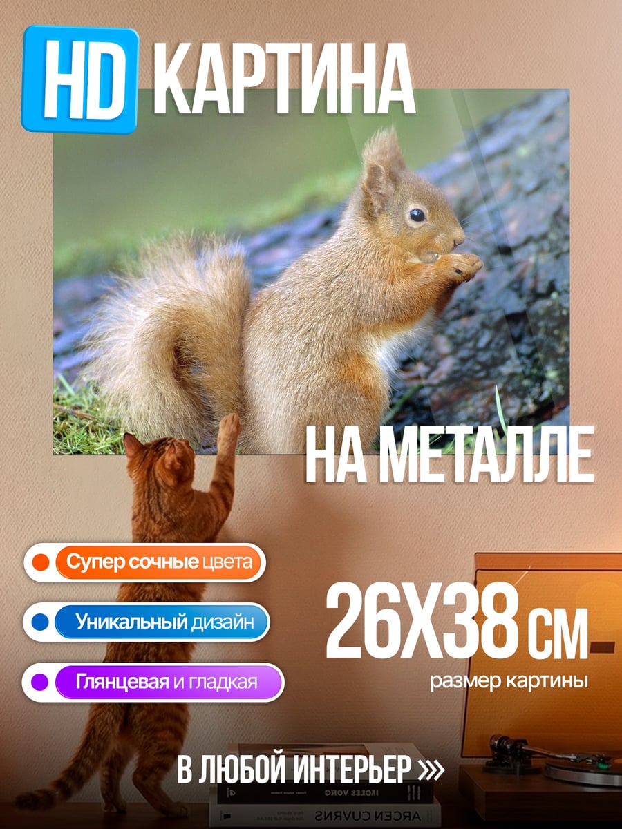 Картина на металле Рыжая белка ест
