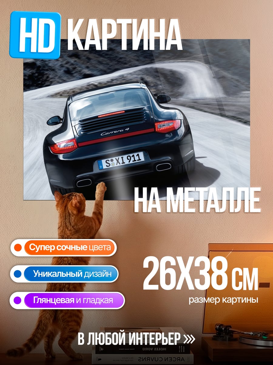 Картина на металле Porsche 911 Carrera