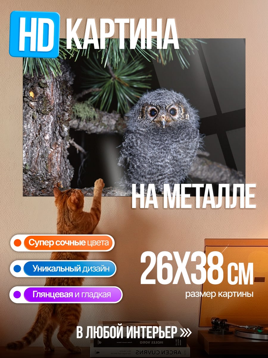 Картина на металле пушистый совенок на ветке