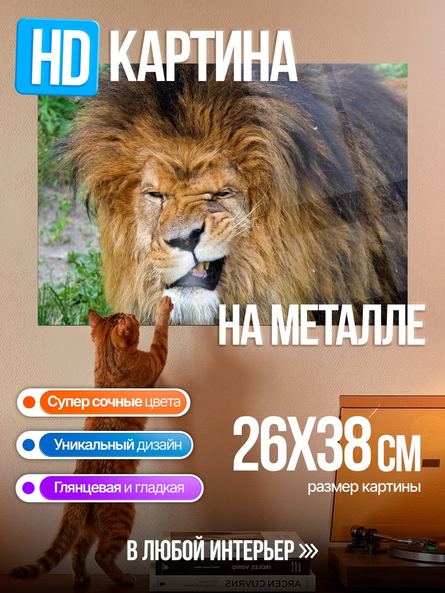 Картина на металле грозный лев гривой