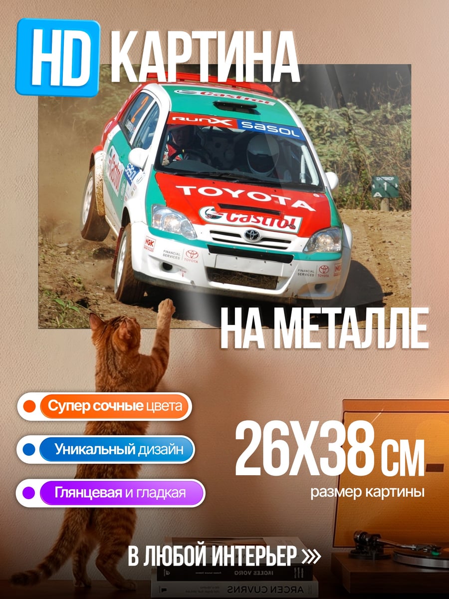 Картина на металле раллийная машина грязь