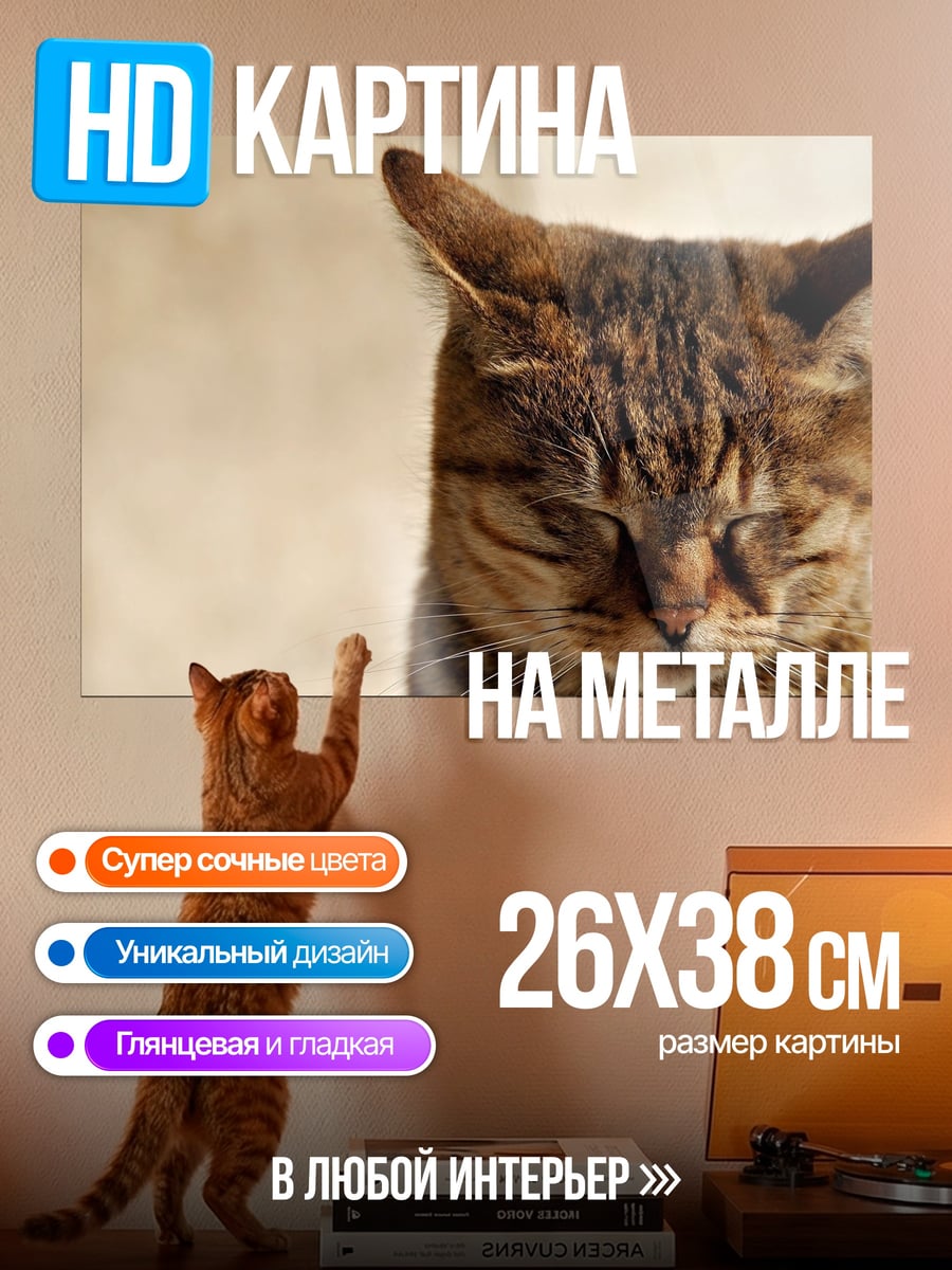 Картина на металле спящий кот