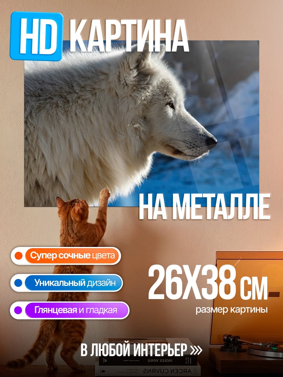 Картина на металле Белый волк