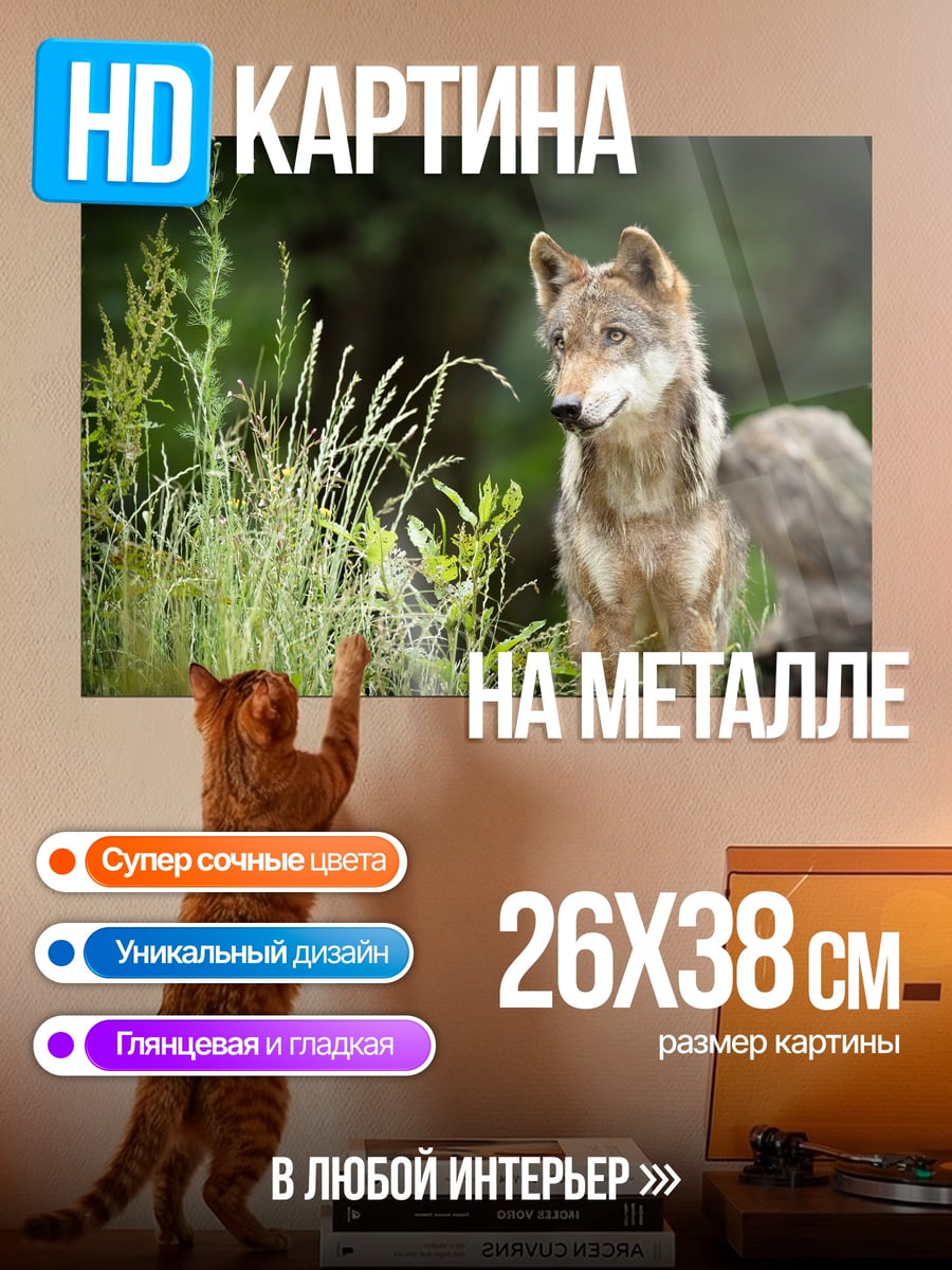 Картина на металле Волк в траве