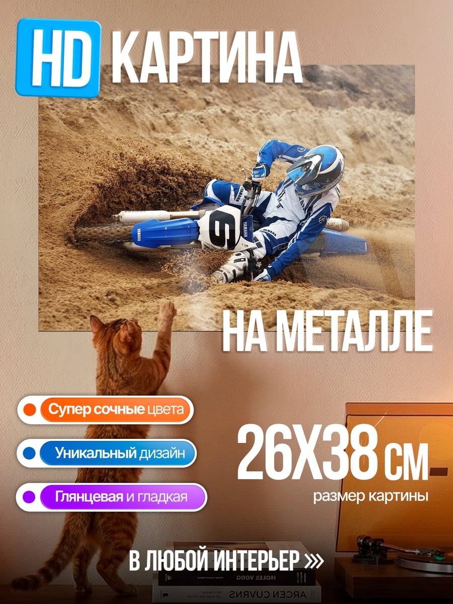 Картина на металле Мотоциклист на песке