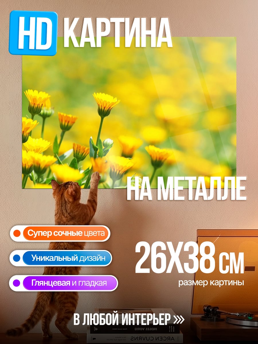 Картина на металле Поле жёлтых цветов