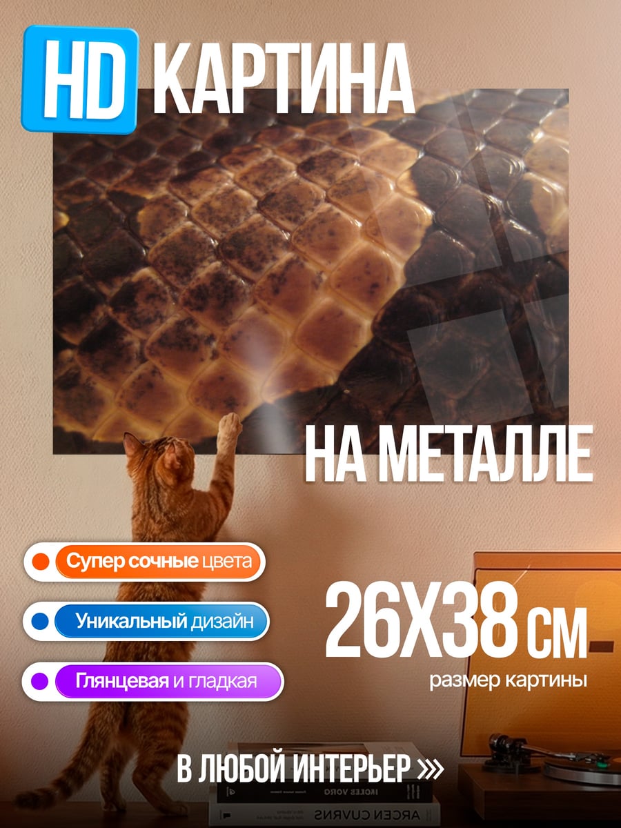 Картина на металле Змеиная кожа