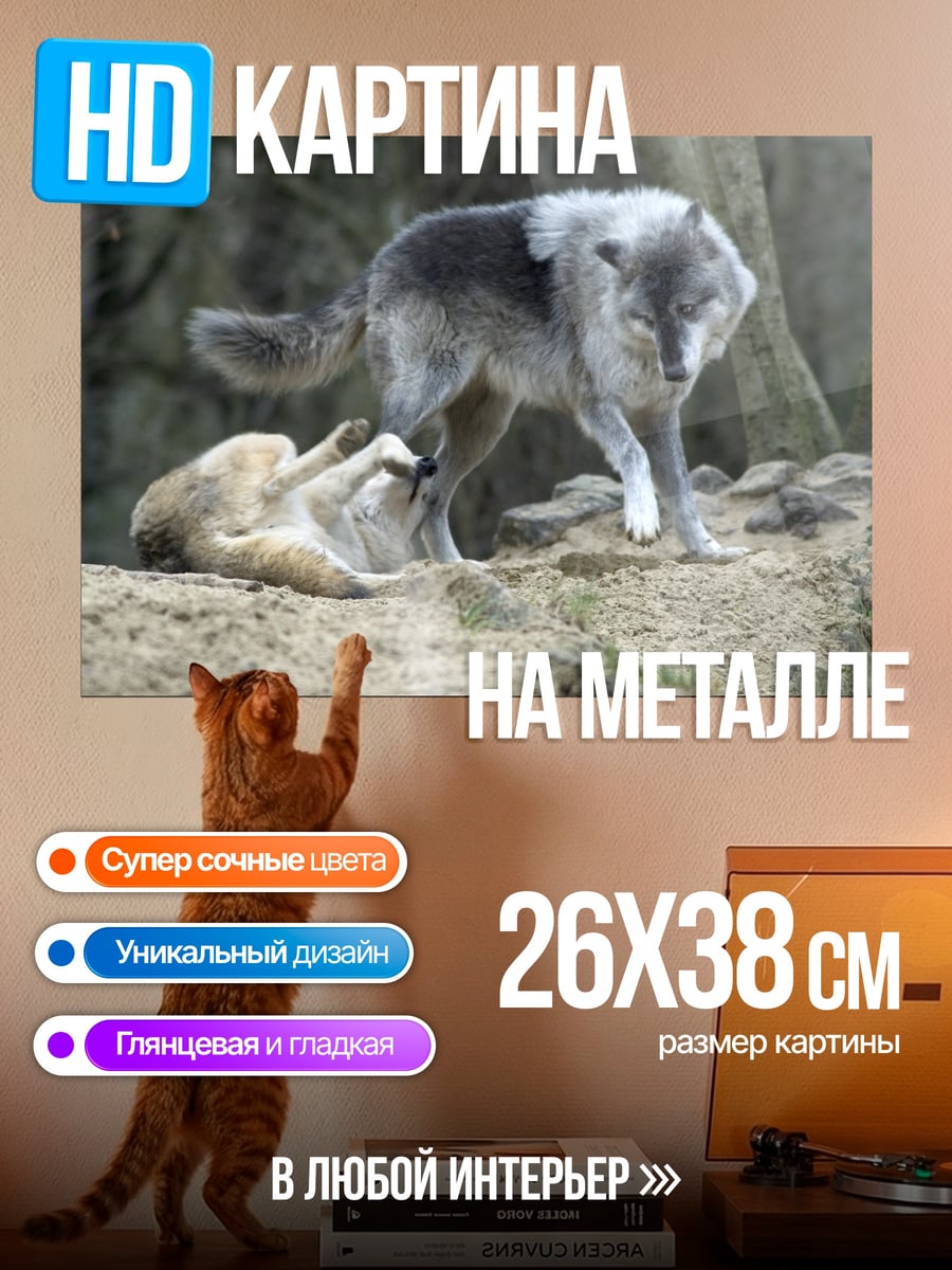 Картина на металле Два играющих волка