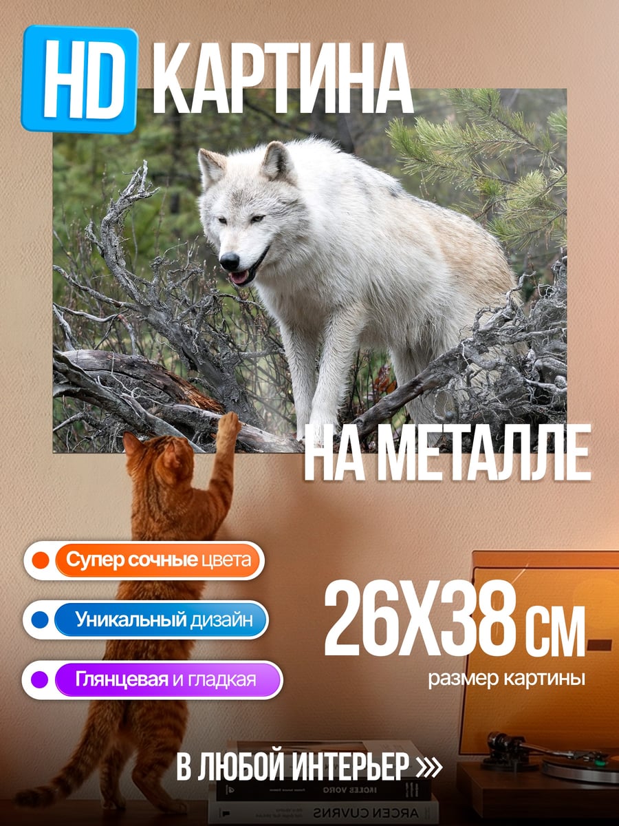 Картина на металле Белый волк лес