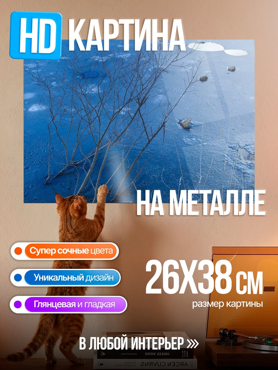Картина на металле Ледяная гладь