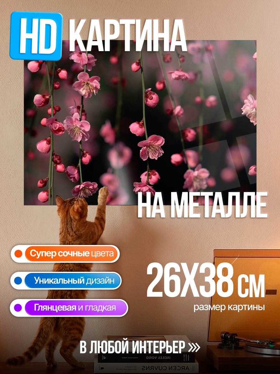 Картина на металле Цветущая сакура