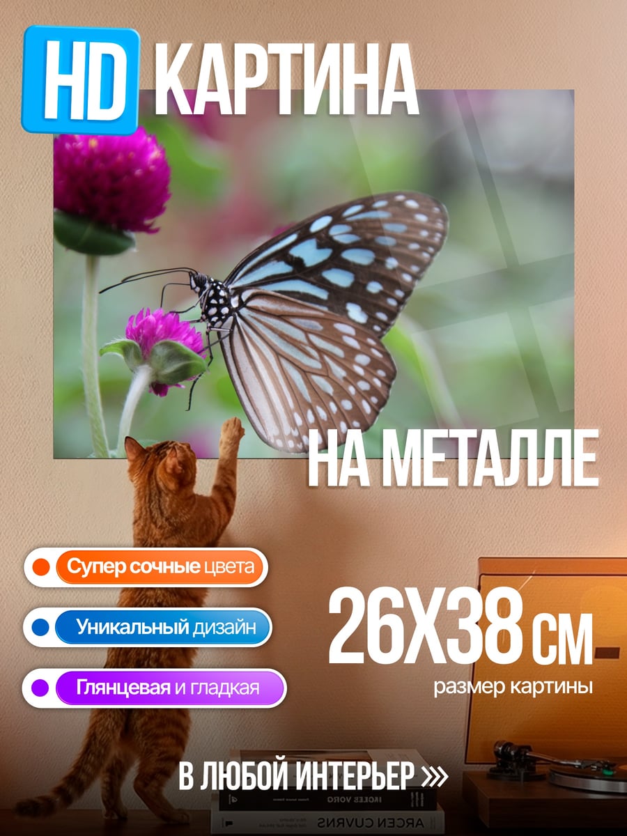 Картина на металле бабочка на цветке
