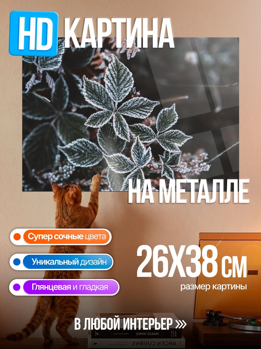 Картина на металле морозные листья