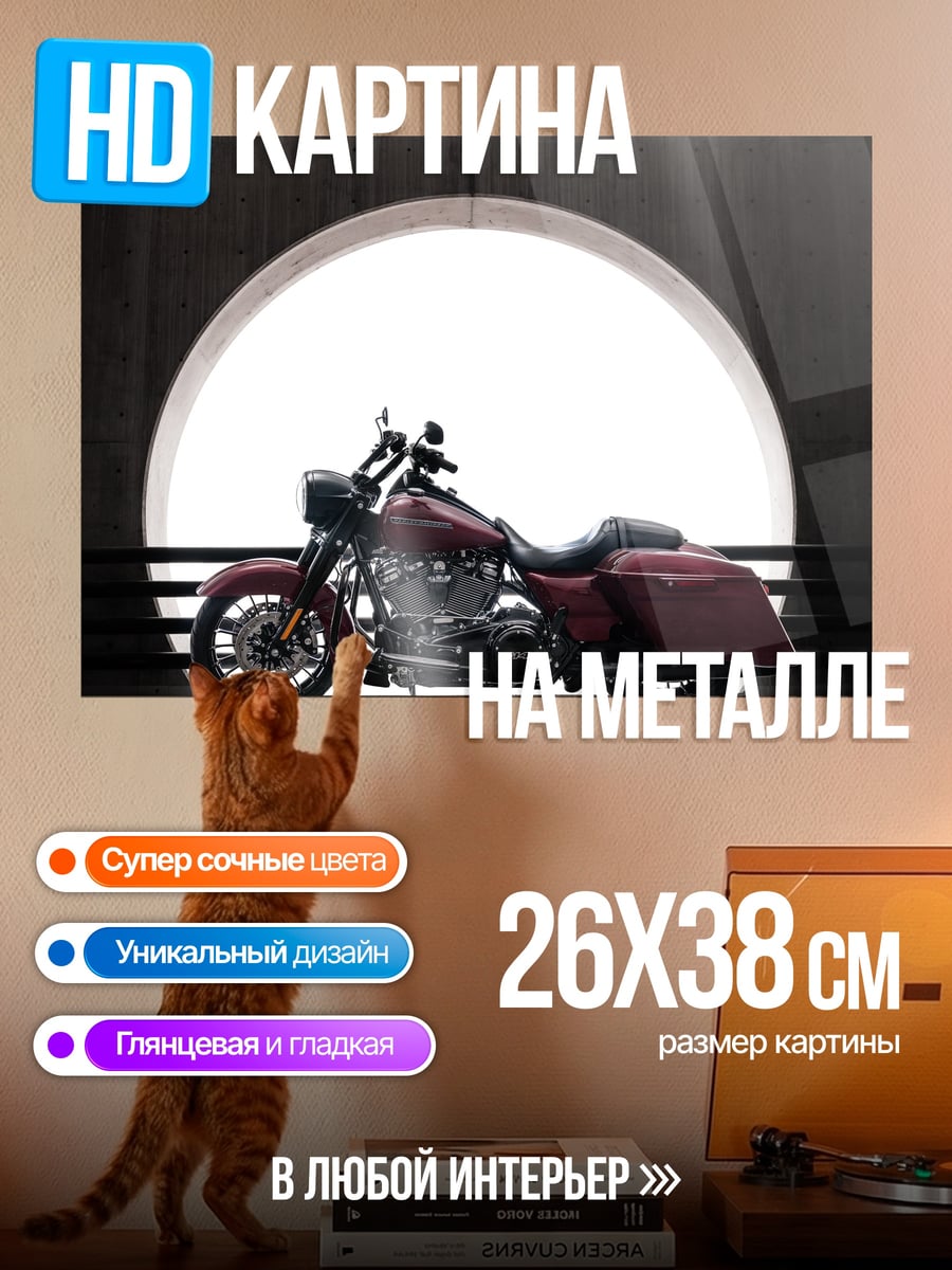 Картина на металле Красный мотоцикл
