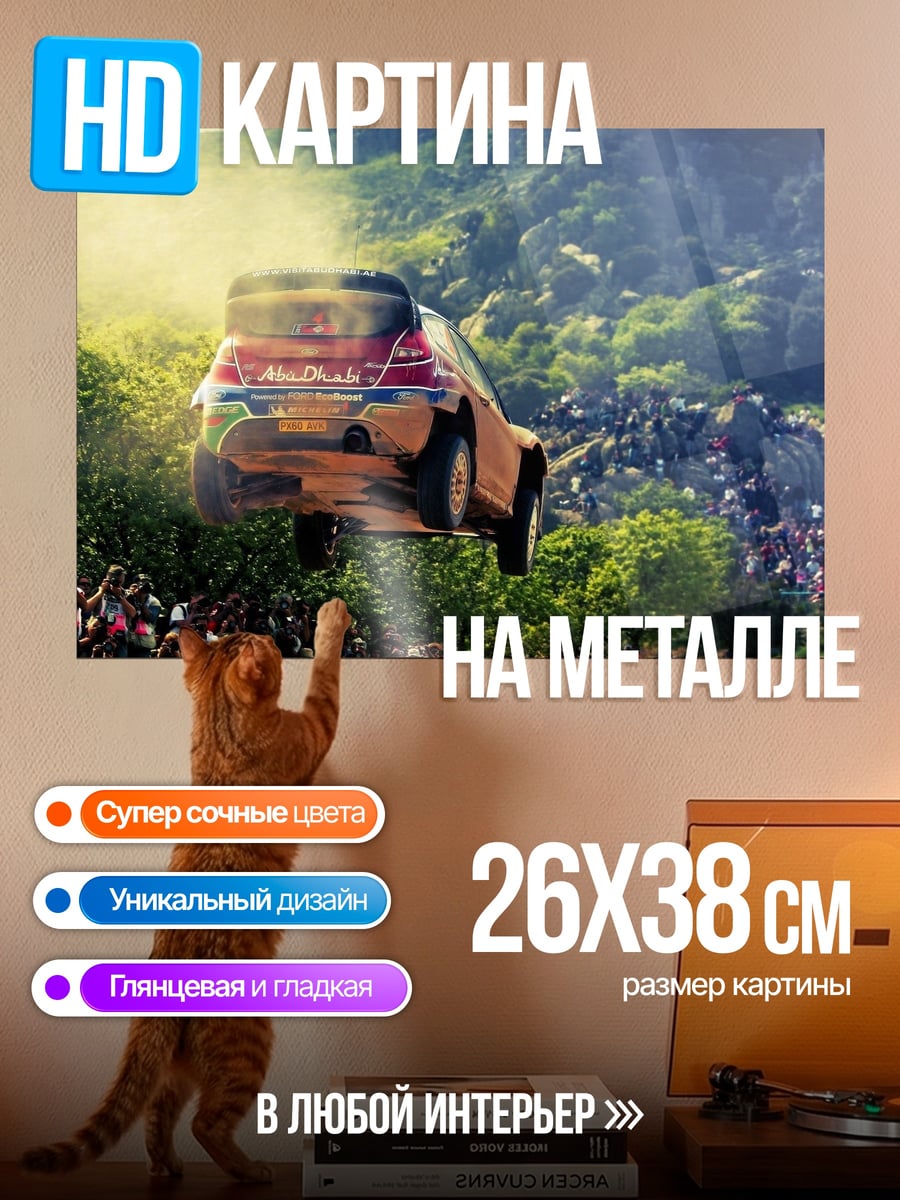 Картина на металле раллийный прыжок