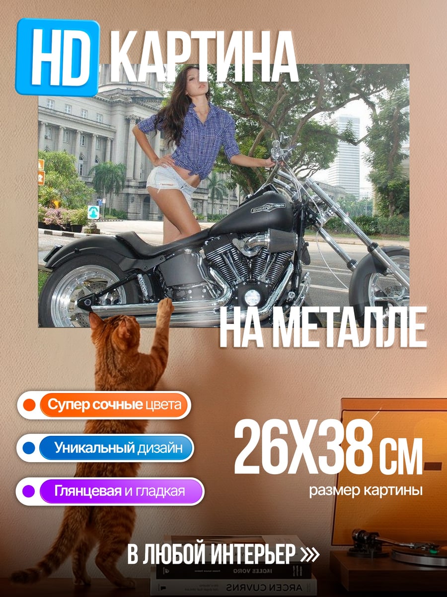 Картина на металле Девушка и мотоцикл