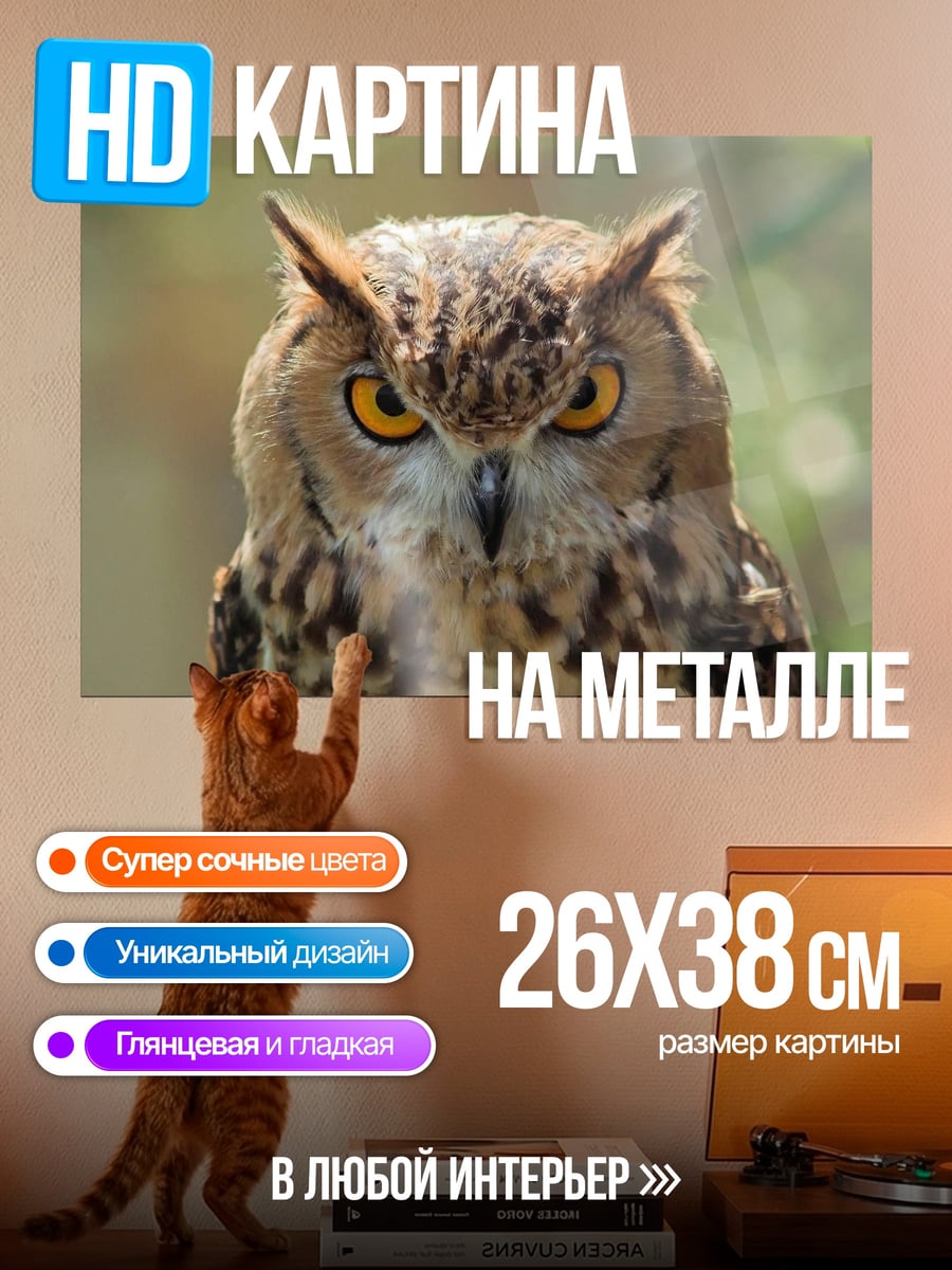 Картина на металле Мудрый Филин Глаза