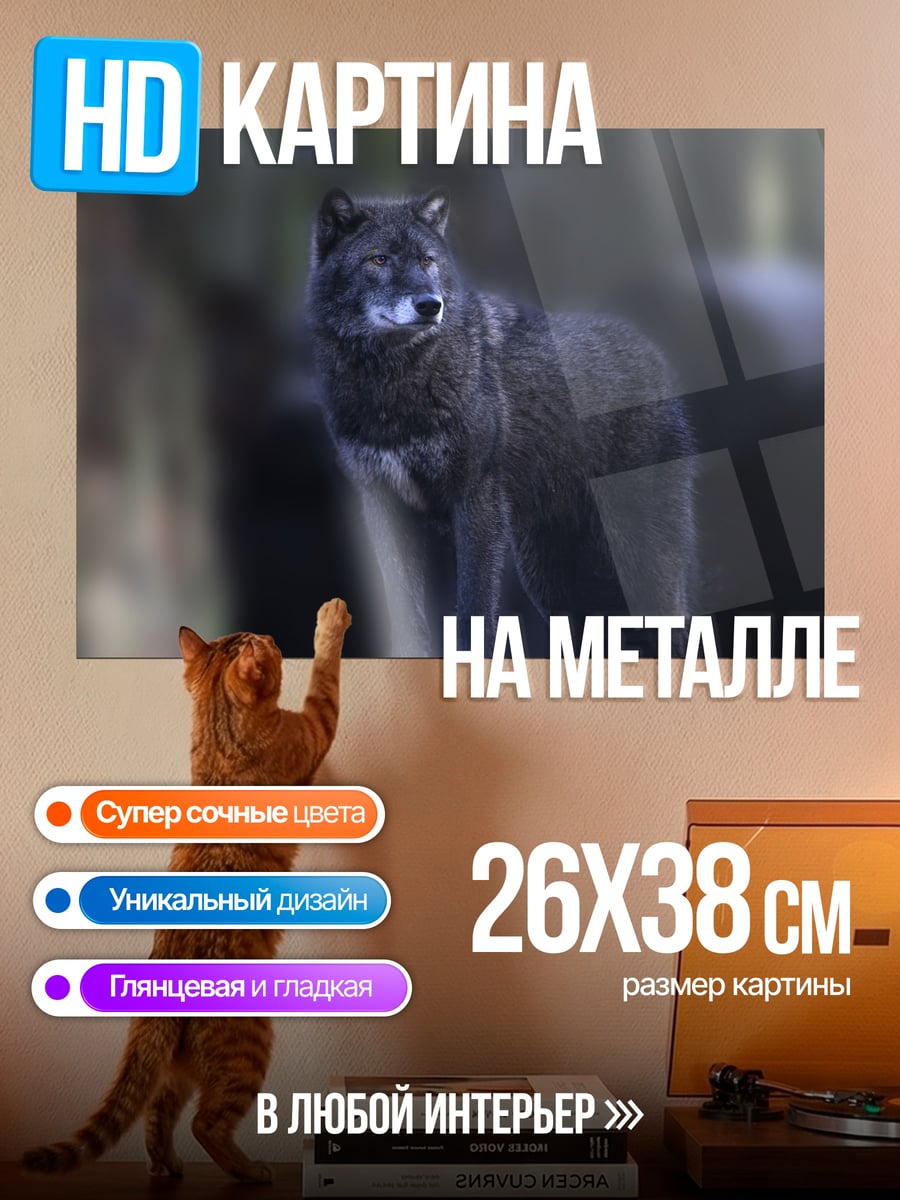 Картина на металле Черный волк в лесу