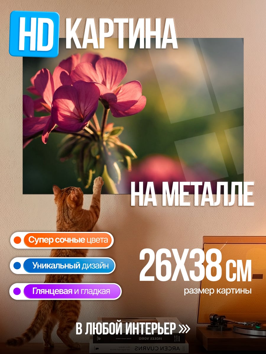 Картина на металле Розовый цветок крупным планом