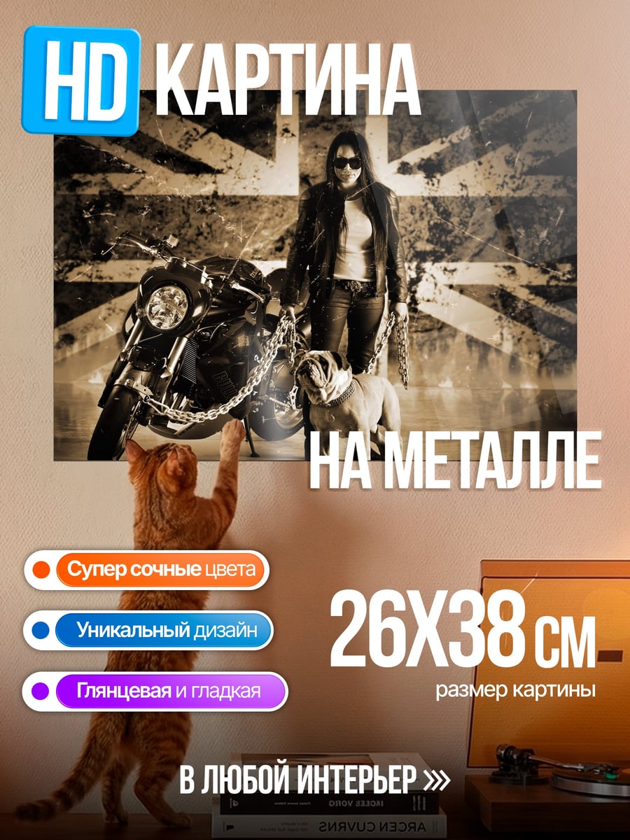 Картина на металле байкер и бульдог