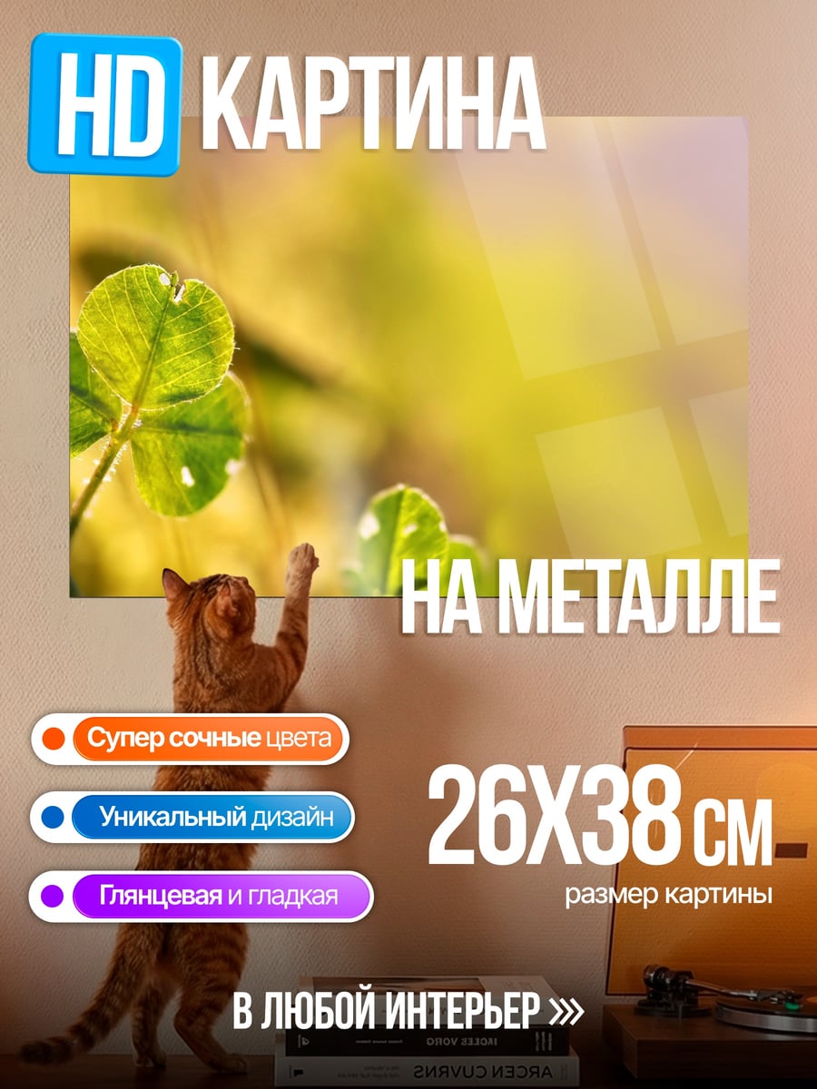 Картина на металле Клевер на солнце