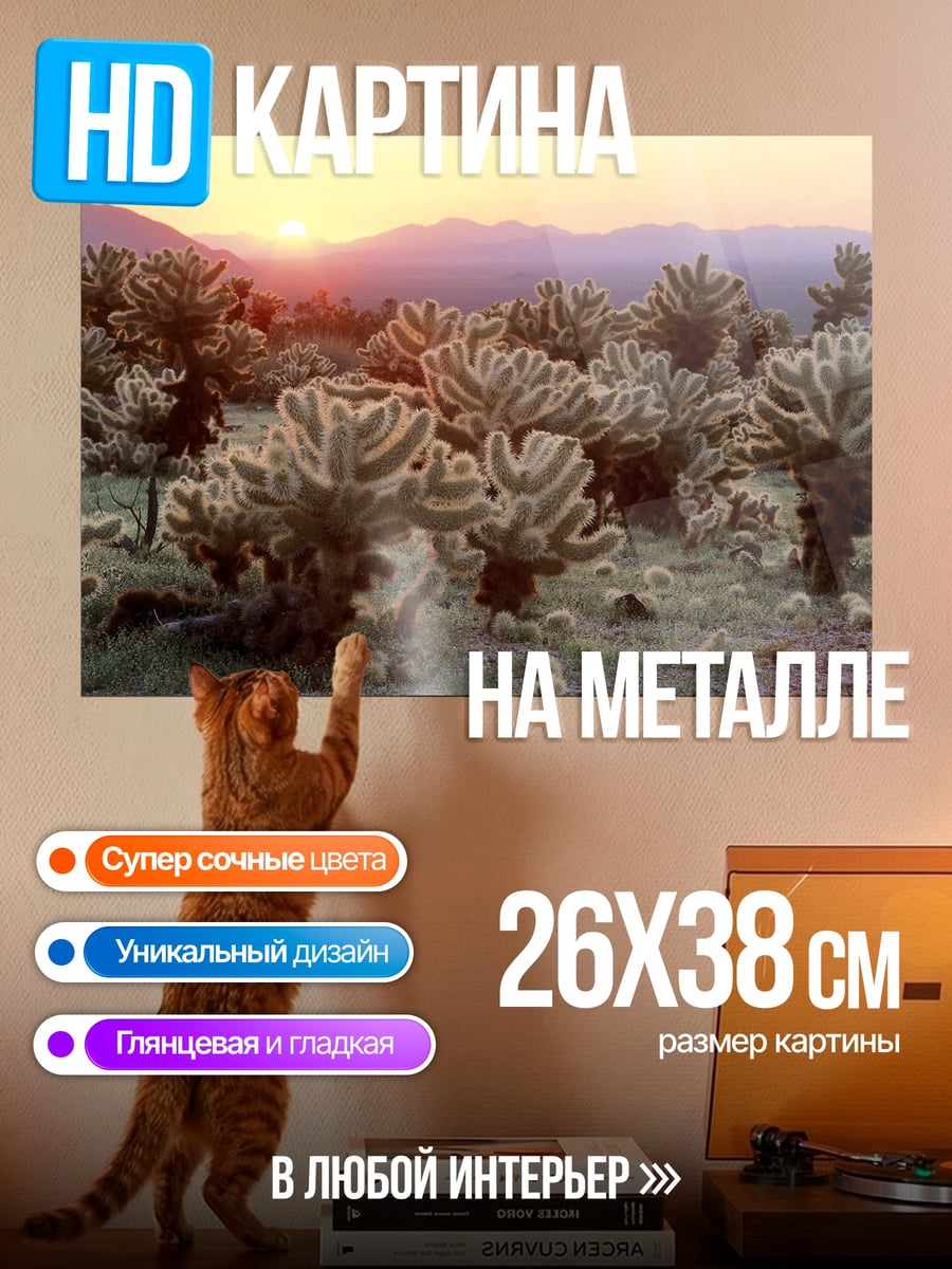 Картина на металле Пустыня кактусов