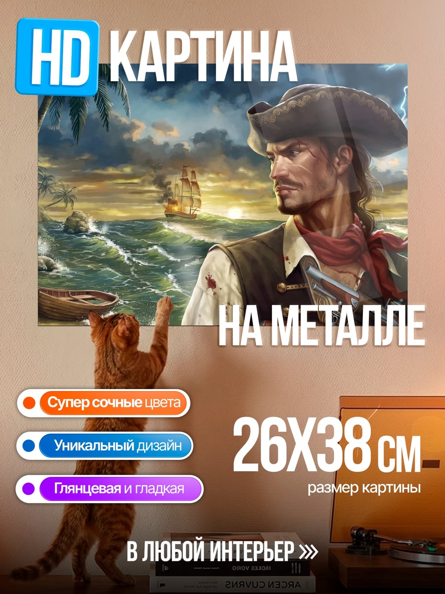 Картина на металле Пират на берегу