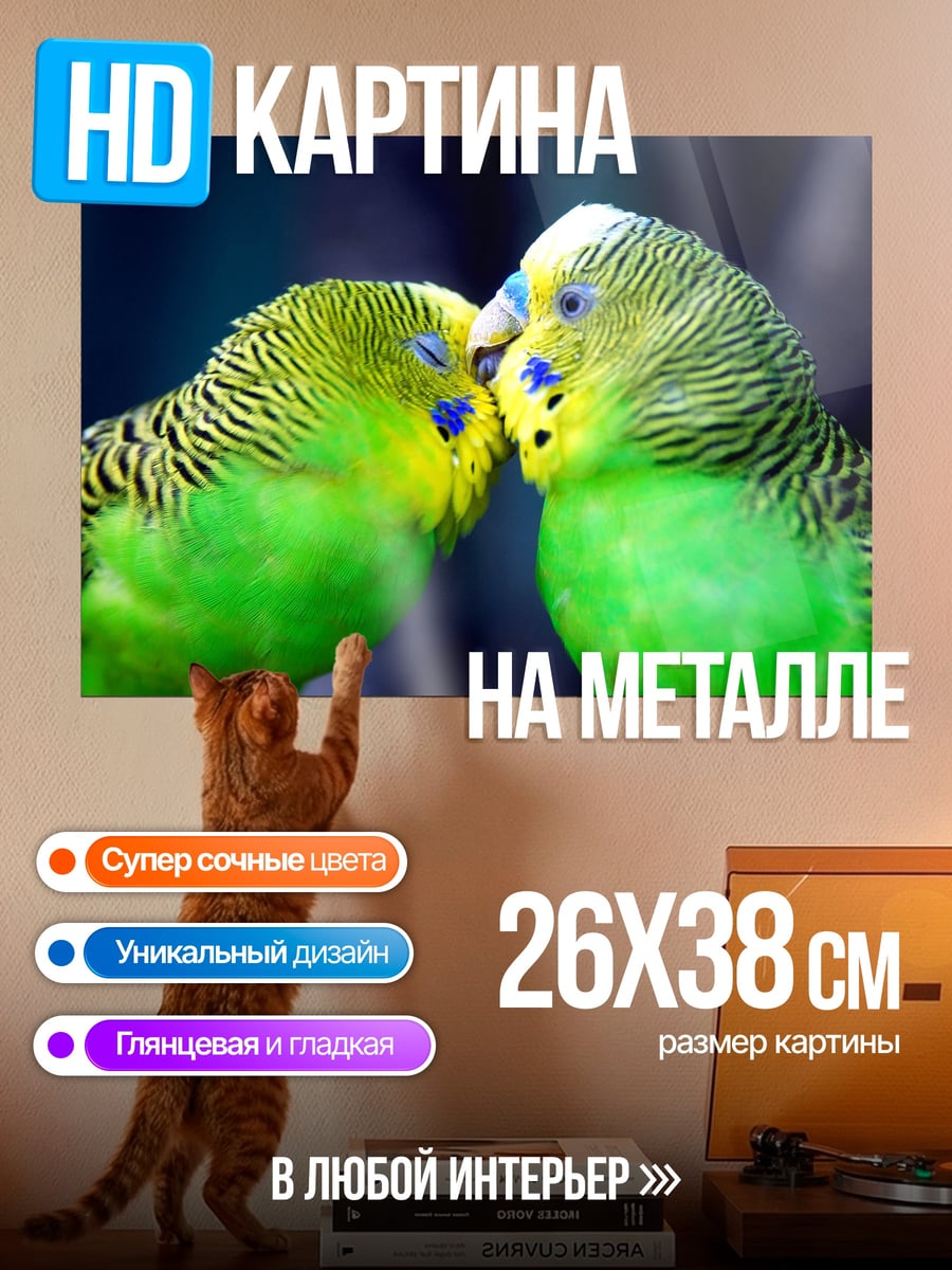 Картина на металле два попугая
