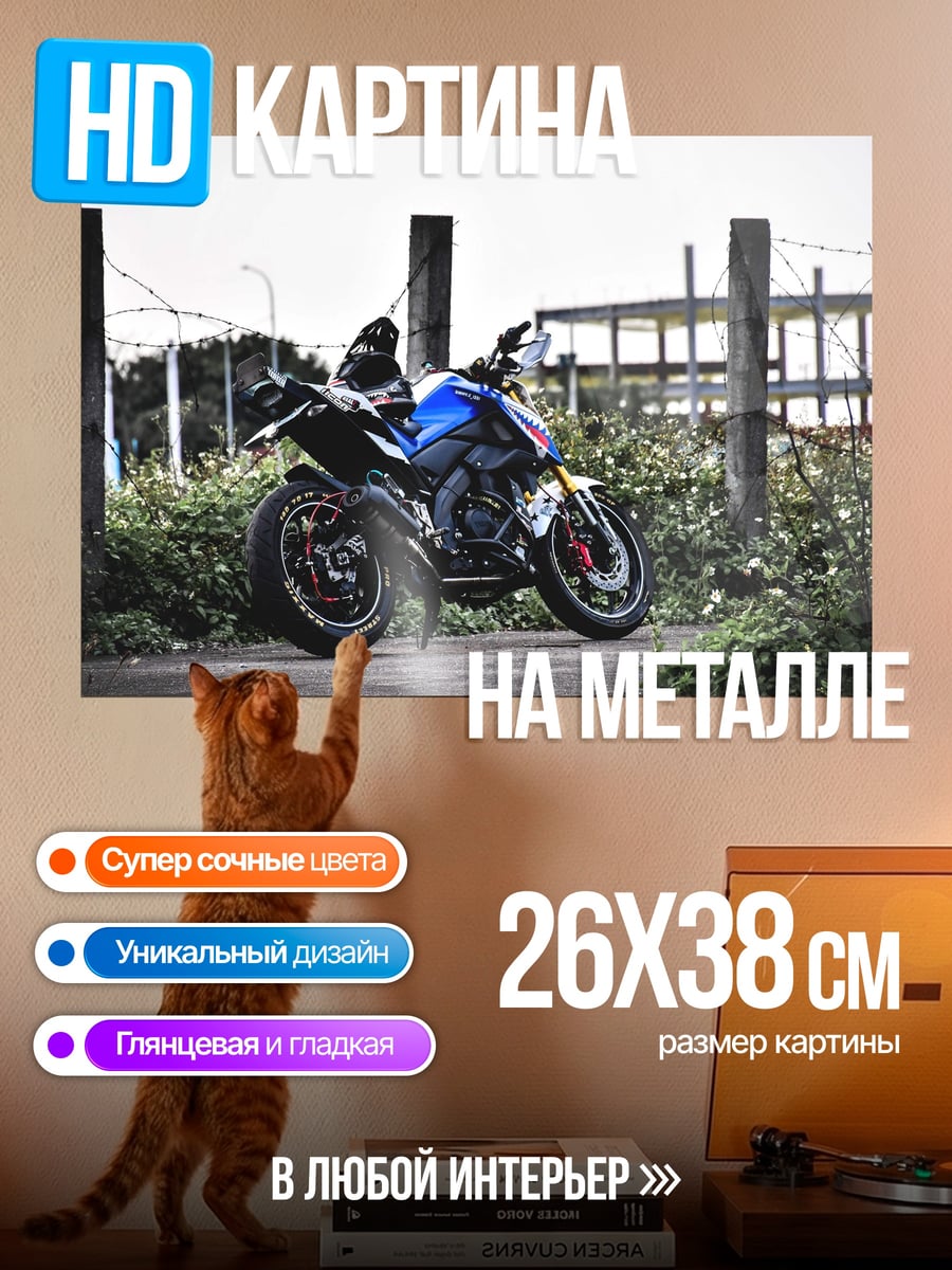 Картина на металле Мотоцикл на обочине