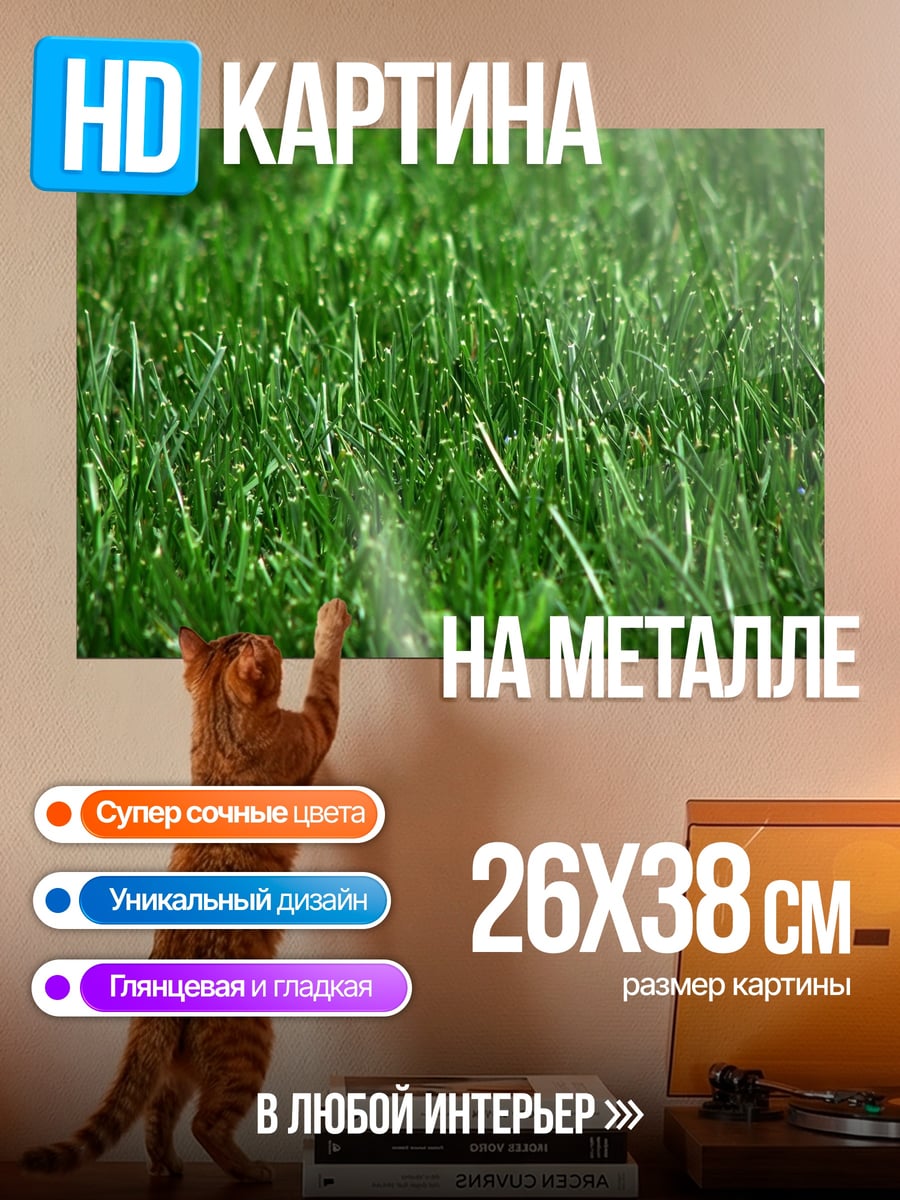Картина на металле Крупный план травы
