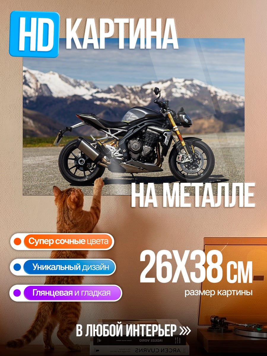 Картина на металле Мотоцикл на фоне гор