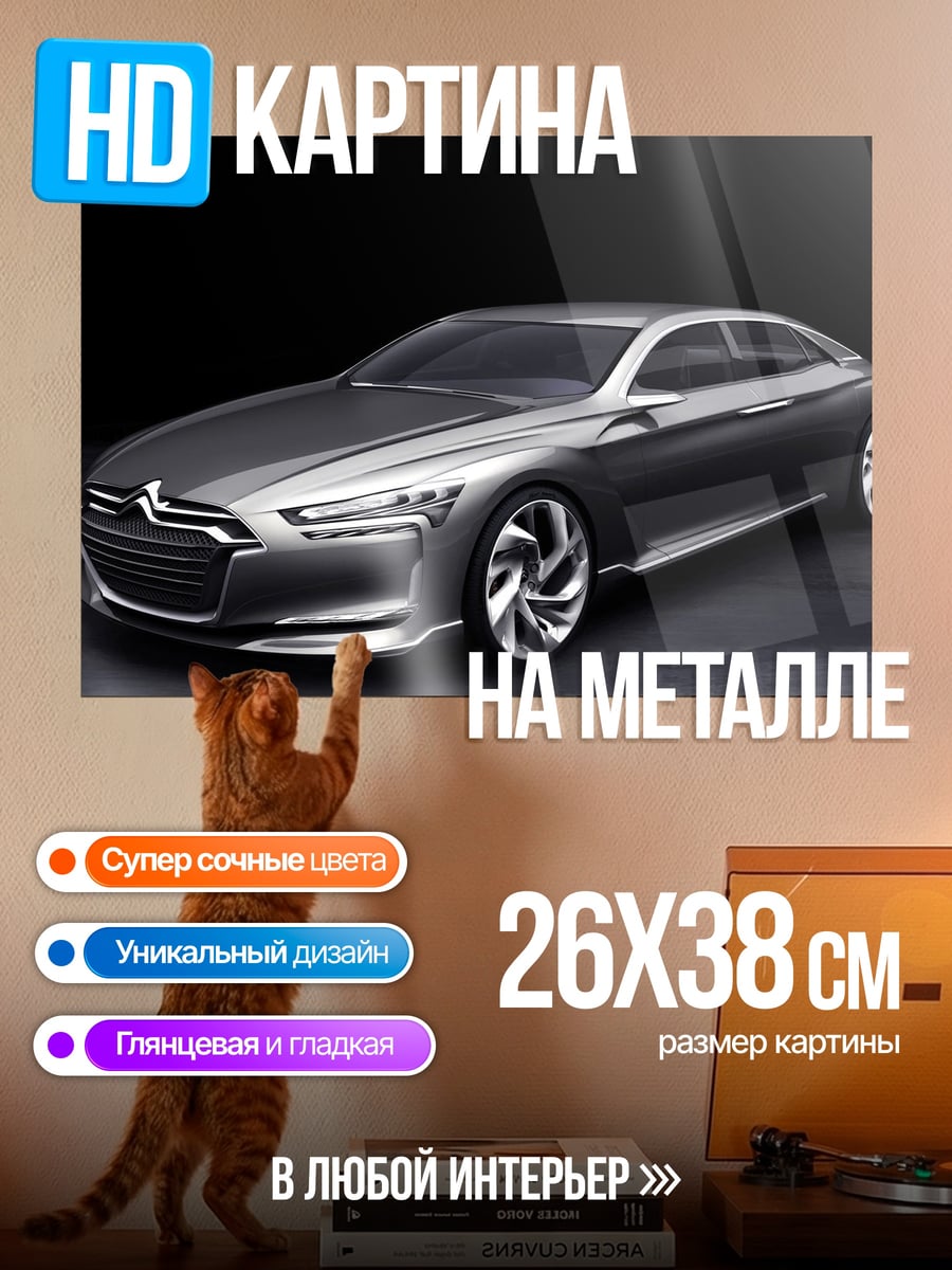 Картина на металле Концепткар Citroen