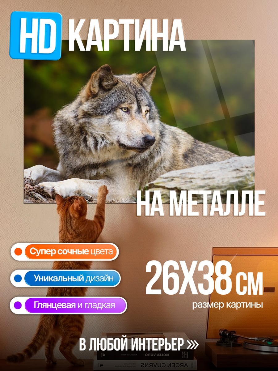 Картина на металле Лежащий волк