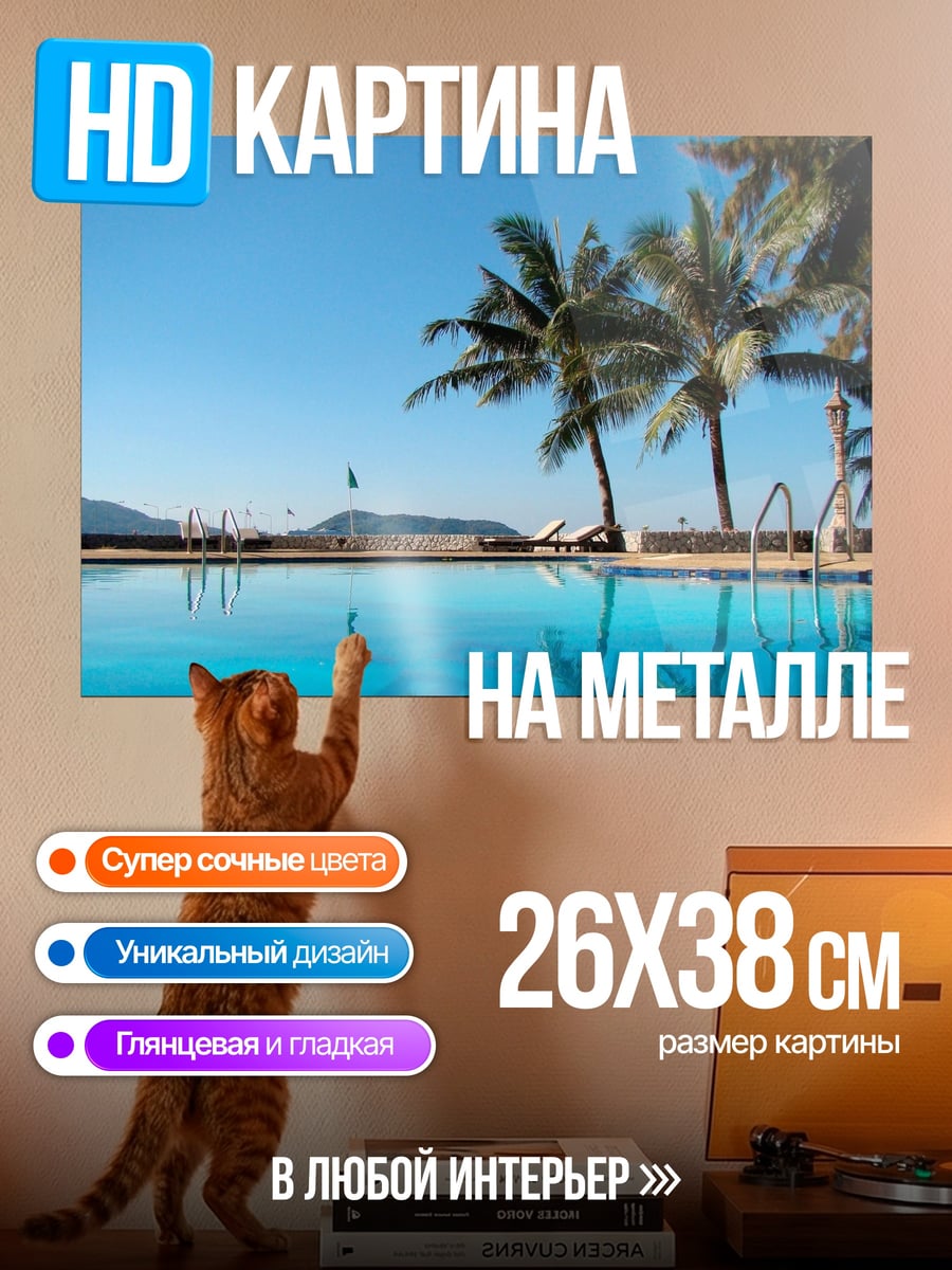 Картина на металле Бассейн с пальмами