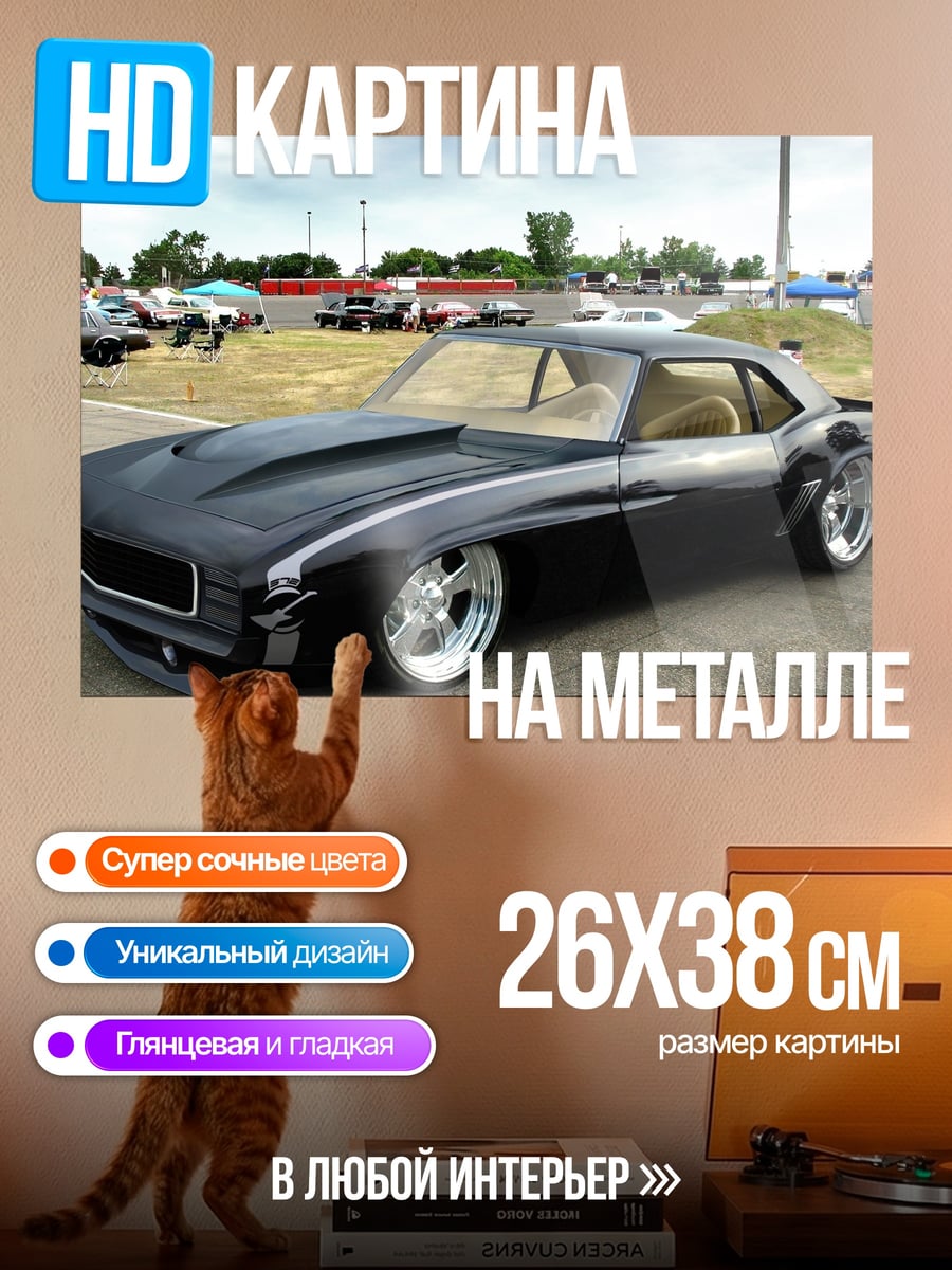 Картина на металле Черный маслкар