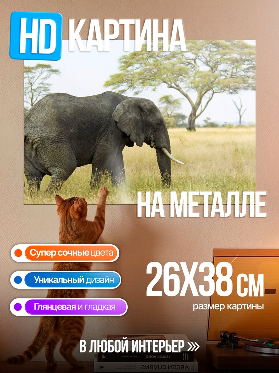 Картина на металле африканский слон
