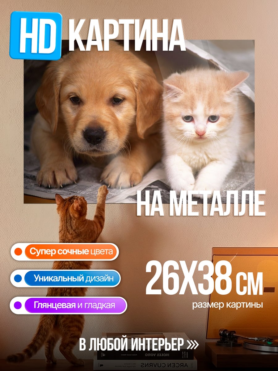 Картина на металле Щенок и котенок