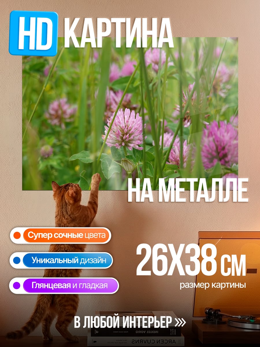Картина на металле Поле клевера