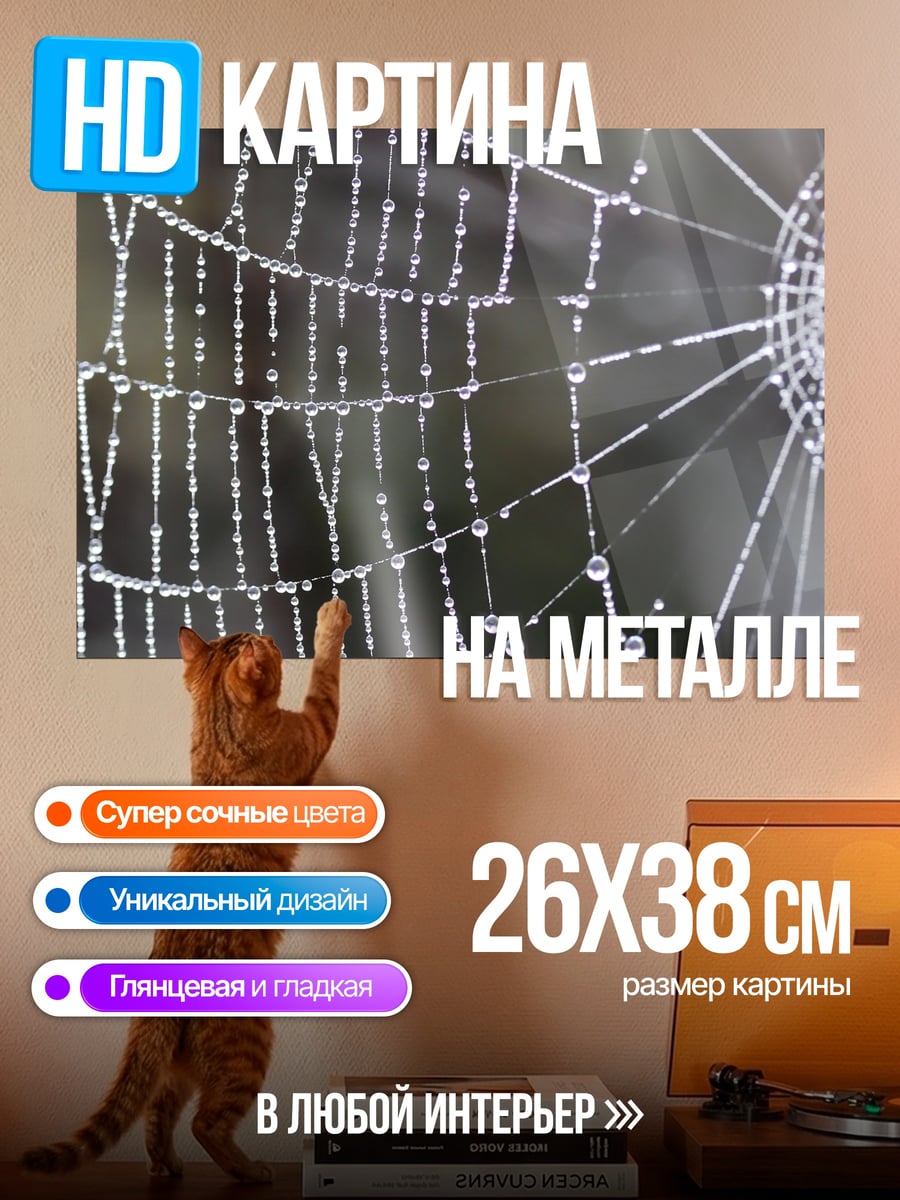 Картина на металле паутина с каплями